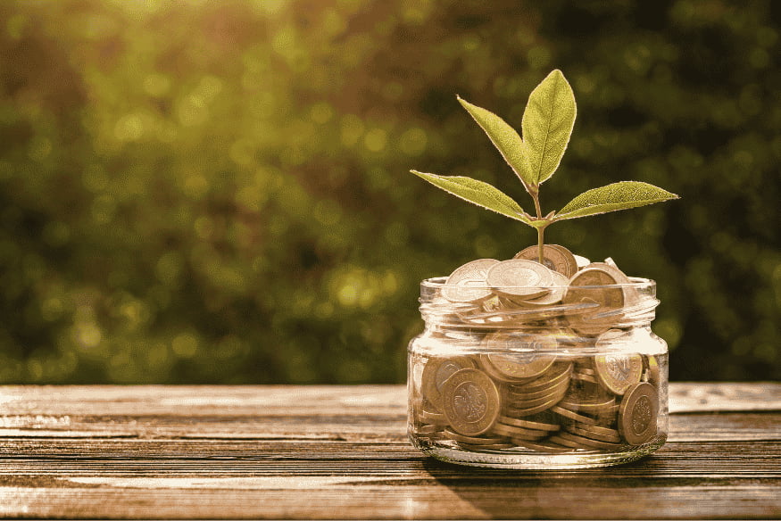Ein Glas voller Münzen mit einer wachsenden Pflanze darauf steht auf einem Holztisch im Sonnenlicht – Symbol für finanzielles Wachstum und Sparen.